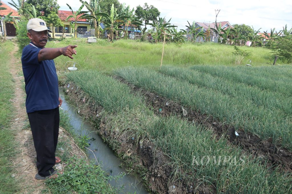 Wasirudin (53), Ketua Kelompok Saka Tani menunjukkan lahan bawang merah di Babakan, Kabupaten Cirebon, Jawa Barat, Minggu (3/7/2022). Banyak petani bawang merah memilih beralih ke tanaman lain. Selain ongkos produksi yang tinggi, harga jual bawang merah juga tidak stabil.