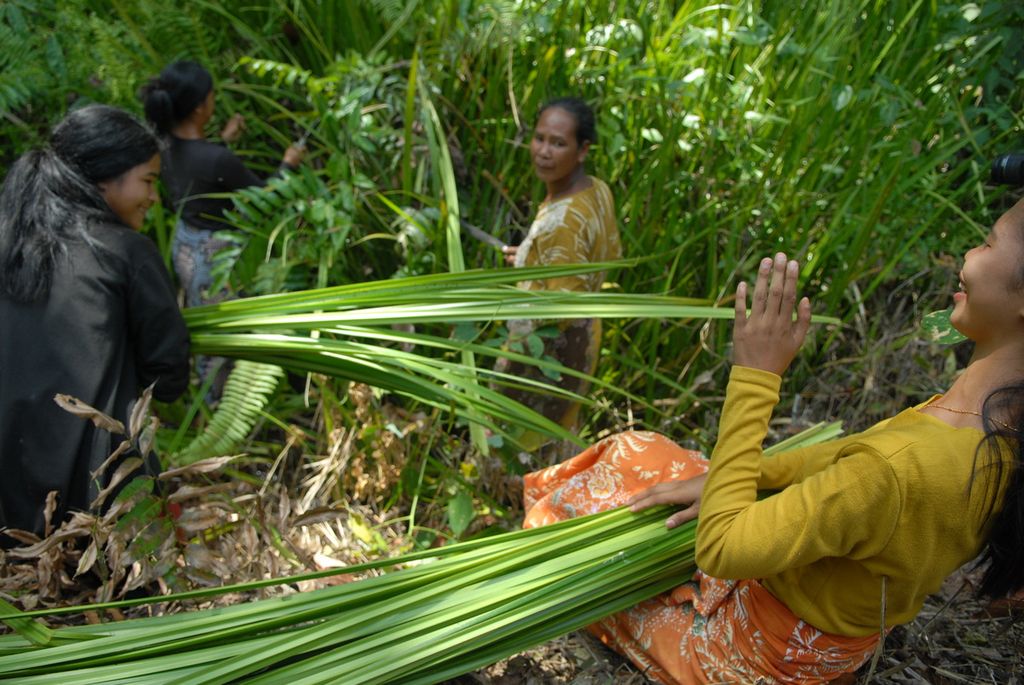 Women from the jungle harvest sago palms around their settlement in the Pelepat area, Bungo Regency, Jambi, Friday (3/6/2022). Rumbia is processed into woven mats or bedding.