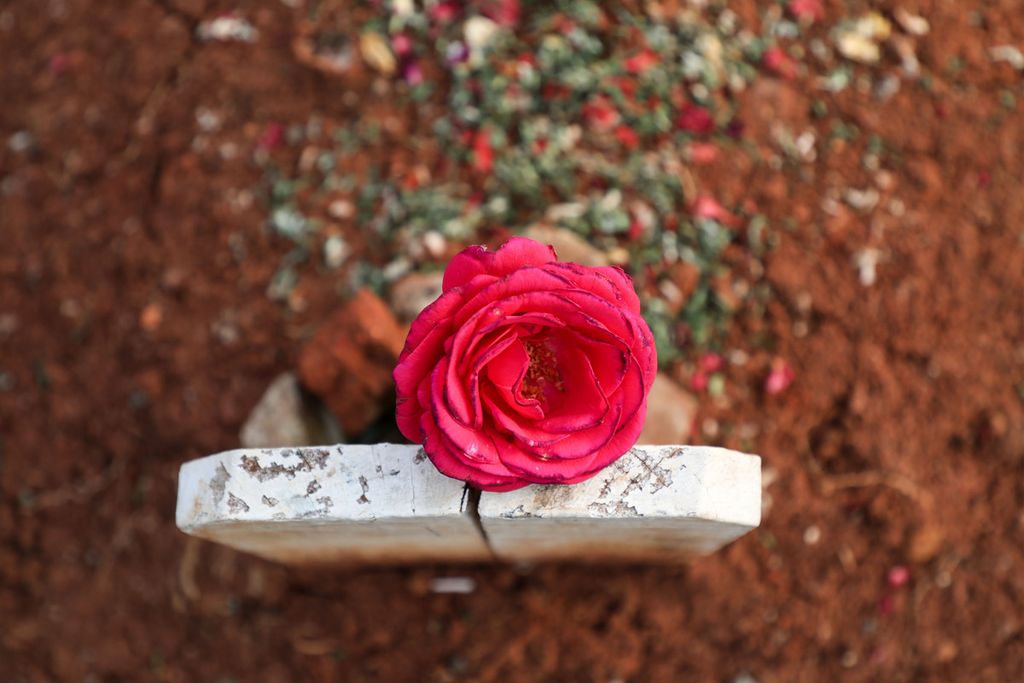 Bunga mawar yang diletakkan peziarah di atas pusara di TPU Jombang, Tangerang Selatan, Jumat (14/5/2021). TPU Jombang menjadi salah satu lokasi pemakaman warga yang meninggal karena Covid-19. Ziarah kubur saat Idul Fitri menjadi tradisi bagi sebagian masyarakat Indonesia. Selain untuk mendoakan kerabat yang telah meninggal, ziarah juga untuk membersihkan makam. Kompas/Heru Sri Kumoro 14-05-2021