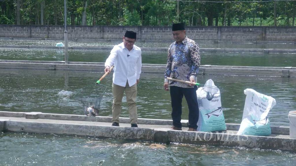 Calon wakil presiden nomor urut 1, Muhaimin Iskandar (kiri), meninjau salah satu kolam air tawar milik warga di Tulungagung, Jawa Timur, Kamis (25/1/2024). 