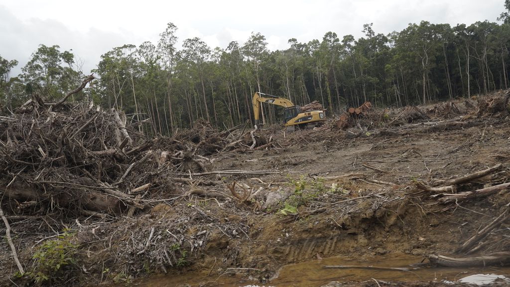Tebangan hutan di sekitar Kampung Zanegi, Distrik Animha, Kabupaten Merauke, Papua, Rabu (9/11/2022). Masuknya sejumlah perusahaan yang mendapatkan konsesi HTI merupakan bagian dari program Merauke Integrated Food and Energy Estate (MIFEE). Sebagian hutan di Zanegi telah bersalin rupa menjadi hutan industri, khususnya akasia dan eucalyptus. Selama 12 tahun terakhir, kondisi masyarakat tidak membaik, malah mengalami kemunduran kualitas kehidupan.