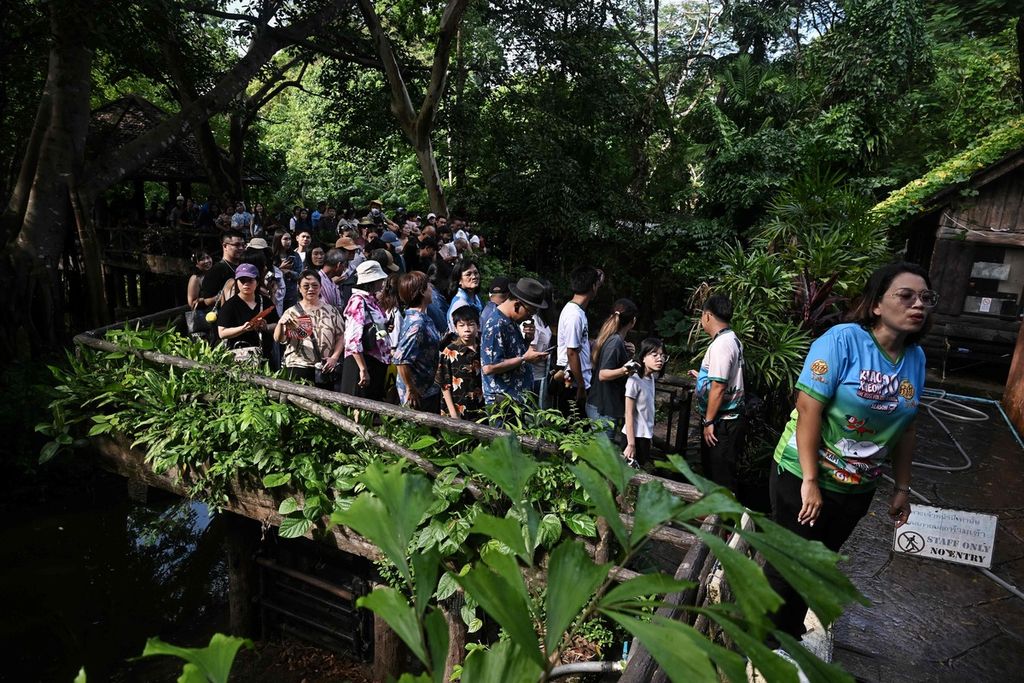 Para pengunjung Kebun Binatang Khao Kheow mengantre demi melihat Moo Deng, anakan kuda nil kerdil di Si Racha, Provinsi Chonburi, Thailand, 15 September 2024. 