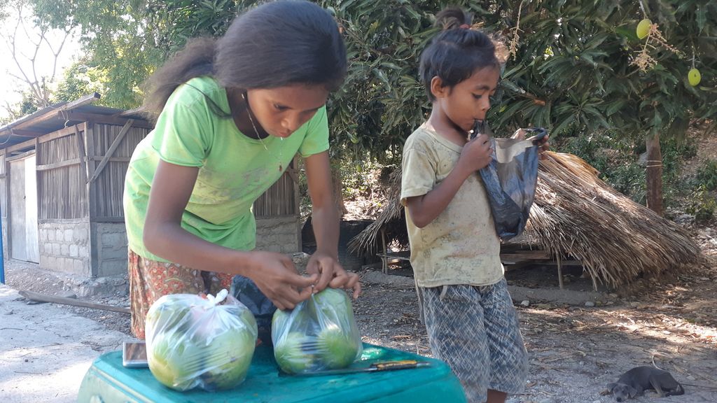Seorang anak menjual mangga di jalur selatan Pulau Timor, Nusa Tenggara Timur, yang membentang dari Kabupaten Timor Tengah Selatan hingga Kabupaten Malaka, Rabu (13/10/2021). Lokasi Rumah Sakit Pratama Boking berada tak jauh dari tempat itu. 
