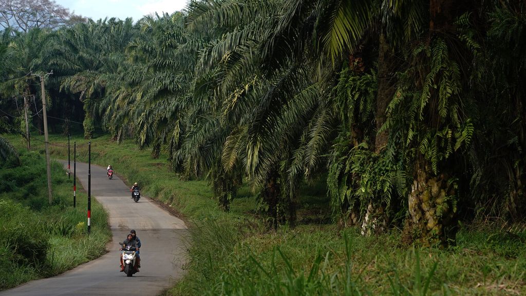 Warga melewati jalan desa di sekitar lahan perkebunan kelapa sawit milik PTPN VII di wilayah perbatasan Desa Sukaraksa dan Desa Cigudeg, Kecamatan Cigudeg, Kabupaten Bogor, Jawa Barat, Selasa (28/1/2020). 