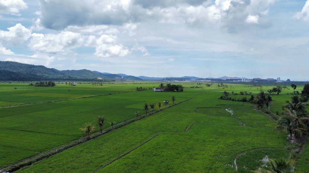 Hamparan persawahan warga yang berbatasan dengan industri pengolahan nikel atau smelter di Desa Paku Jaya, Bondoala, Konawe, Sulawesi Tenggara, Kamis (30/3/2023). Sawah di wilayah ini terus berkurang seiring masifnya industri pengolahan nikel tersebut. Hal serupa juga terjadi di wilayah lain di Sultra akibat pembukaan pertambangan skala besar.