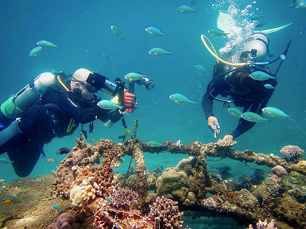 Pantai Pemuteran, Kabupaten Buleleng, Bali, terkenal dengan keindahan terumbu karang dengan sistem <i>biorock</i>-nya. Kehidupan alam bawah laut ini dijaga sejumlah pecalang segara bentukan swadaya desa setempat. Mereka sadar lingkungan dan melestarikannya dari tangan-tangan tak bertanggung jawab. 