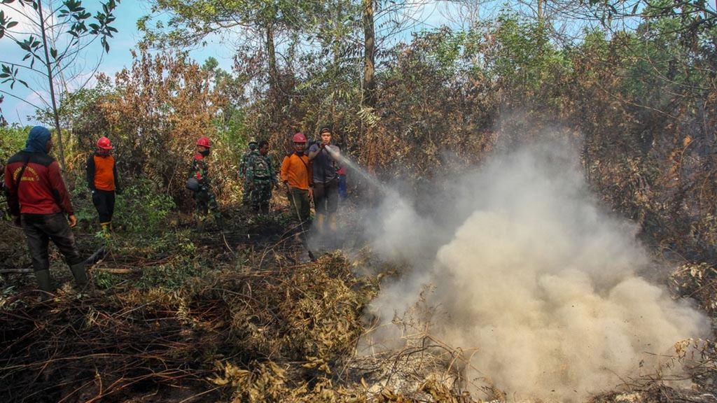 Petugas dari Satgas Karhutla Provinsi Riau berusaha memadamkan bara api yang membakar lahan gambut di Desa Karya Indah, Kabupaten Kampar, Riau, Jumat (26/07/2019). 