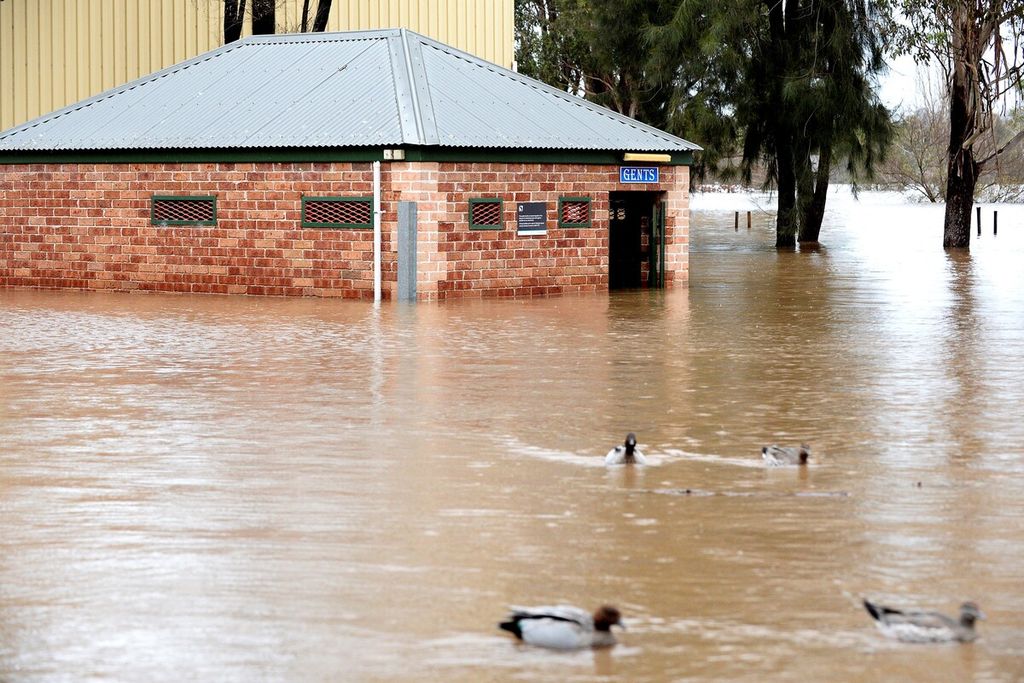 Sejumlah itik berenang di sekitar rumah warga di Camden, pinggiran Sydney yang tengah terendam banjir, Minggu (3/7/2022).