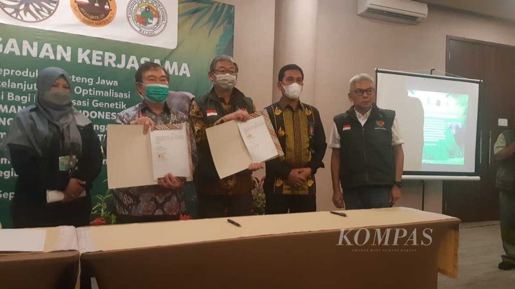 Taman Safari Indonesia diwakili oleh Direktur Taman Safari Indonesia dan PT Smelting menandatangani kerja sama untuk memuliabiakkan banteng jawa dan sapi bali, di Baobab Hotel, Pasuruan, Jawa Timur, Kamis (8/9/2022).