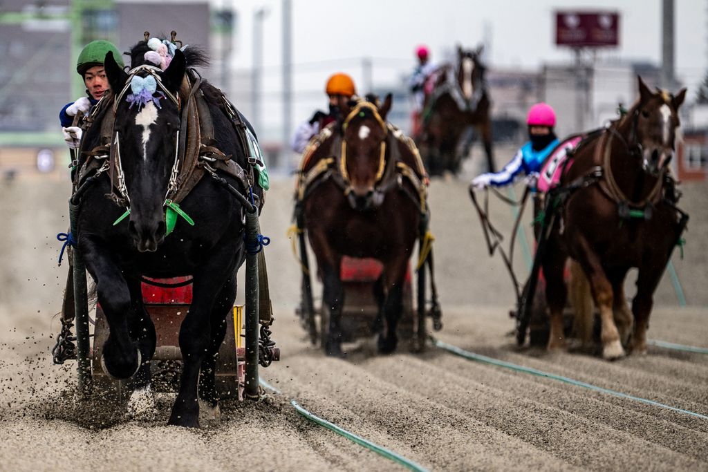 Foto yang diambil pada 9 Desember 2023 menunjukkan pacuan kuda Banei Keiba di kota Obihoro, Prefektur Hokkaido, Jepang. 