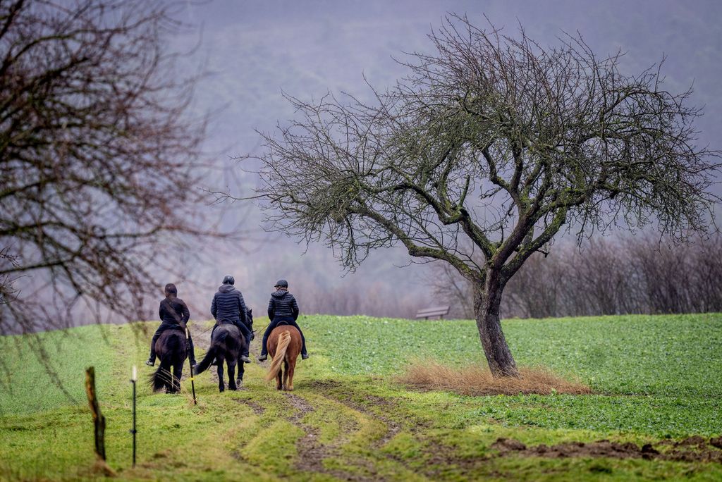 Warga menunggang kuda di tengah hujan berangin di wilayah Taunus dekat Frankfurt, Jerman, 3 Februari 2023. Survei WHO dan OECD menunjukkan, sebanyak 32 persen warga Jerman tidak pernah berolahraga. 
