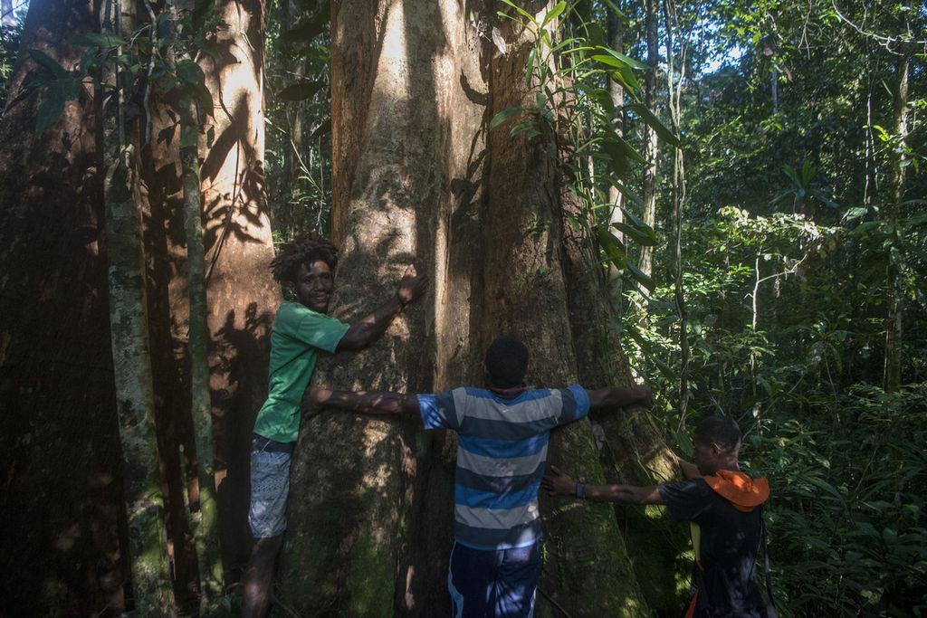  Warga memeluk sebuah pohon merbau di dalam hutan desa di Kampung Sira, Sorong Selatan, Papua Barat, Rabu (9/6/2021). Masyarakat desa itu dipercaya mengelola hutan desa yang terus dijaga kelestariannya di sekeliling permukiman mereka .