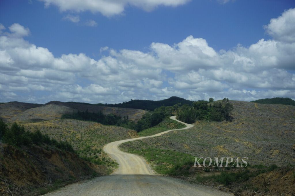 Pemandangan di kawasan hutan tanaman industri PT ITCI Hutani Manunggal di Kelurahan Pemaluan, Kecamatan Sepaku, Penajam Paser Utara, Kalimantan Timur (22/2/2020). Ibu kota negara baru direncanakan akan dibangun di sekitar wilayah ini.