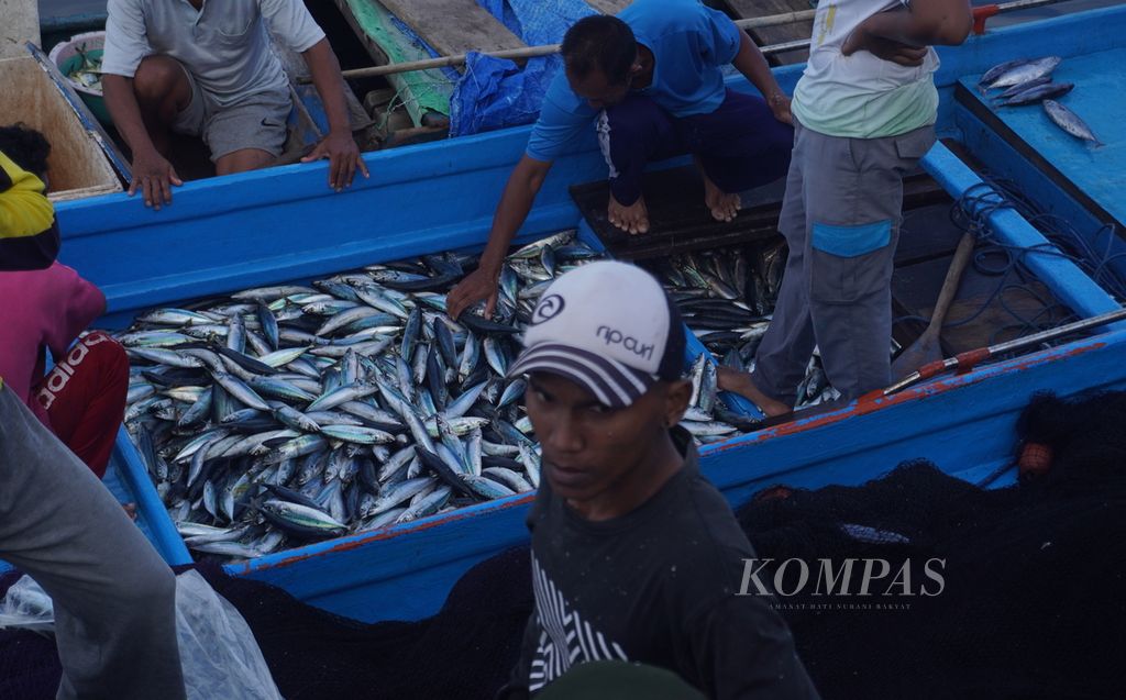 Sebuah kapal melelang ikan hasil tangkapannya di sebuah gudang pendingin ikan di Banda Naira, Kabupaten Maluku Tengah, Maluku, Rabu (20/9/2023) pagi. Pagi itu, kapal tersebut melelang sekitar 3 ton ikan tongkol dan ikan layang. Di gudang tersebut, ikan-ikan itu akan diproses menjadi ikan beku dalam waktu sekitar 16 jam. Setelah itu, ikan-ikan tersebut dikirim ke daerah lain, seperti DKI Jakarta dan Bali.