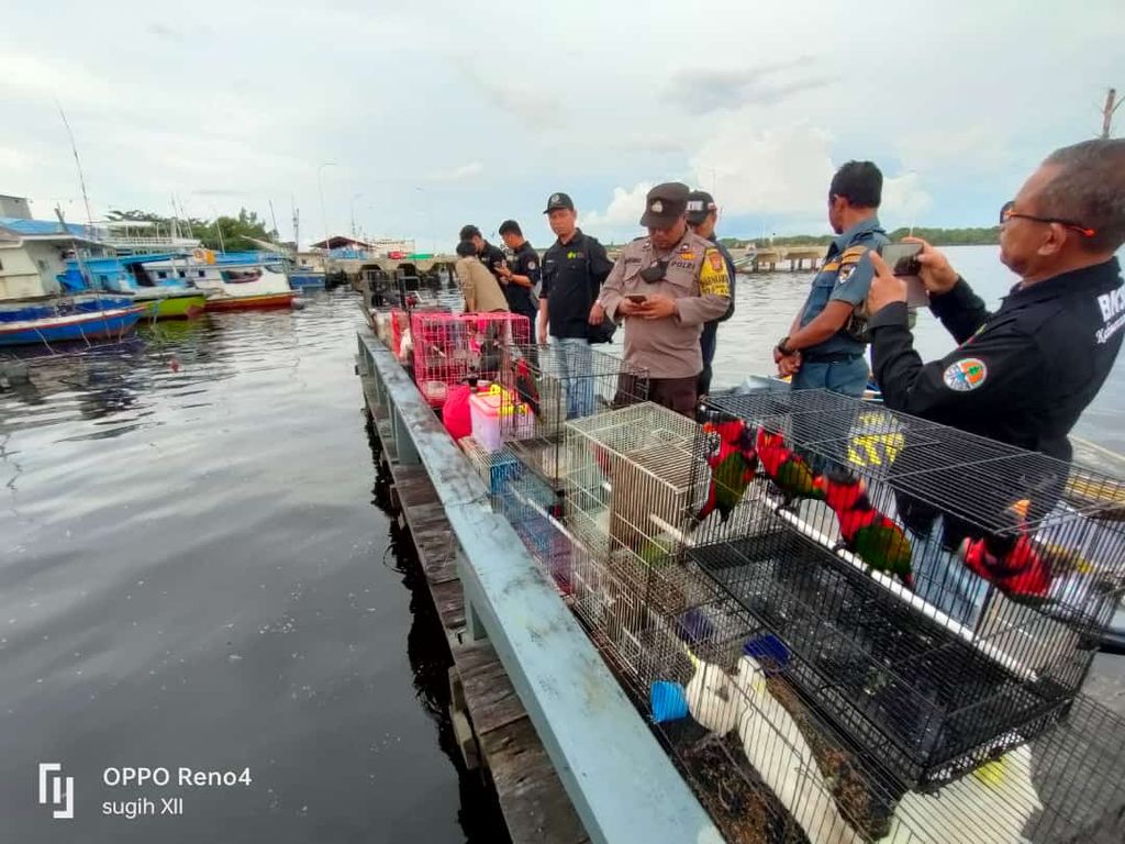 Sejumlah satwa dilindungi asal Papua yang penyelundupannya digagalkan petugas di Pelabuhan Kumai, Kabupaten Kotawaringin Barat, Kalimantan Tengah, Sabtu (22/10/2022).