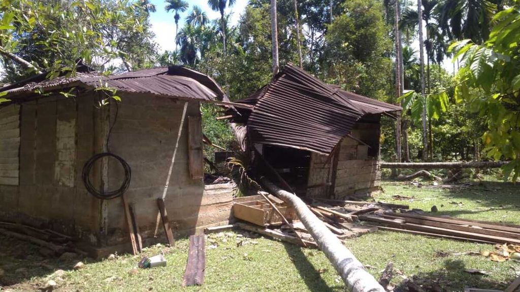 Rumah warga di Desa Blang Teungku, Kecamatan Seunagan Timur, Kabupaten Nagan Raya, Aceh rusak ditubruk gajah. Konflik gajah semakin sering terjadi di Aceh