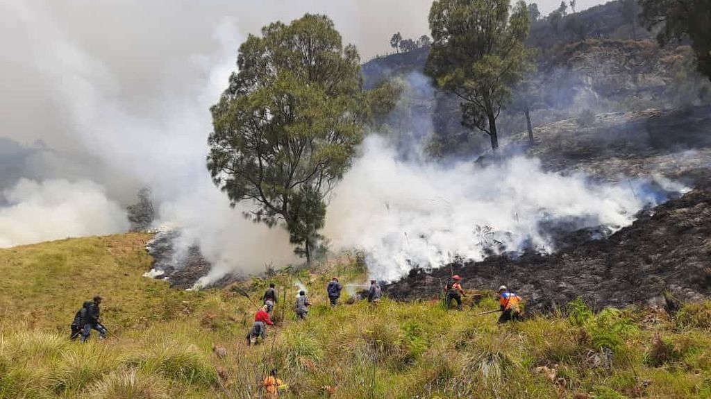 Petugas berupaya memadamkan kebakaran lahan di Taman Nasional Bromo Tengger Semeru, Jawa Timur, Sabtu (2/9/2023).