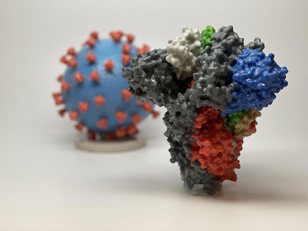 Gambar 3D protein paku SARS-CoV-2, virus penyebab Covid-19. Protein paku (depan) memungkinkan virus untuk masuk dan menginfeksi sel manusia. Pada model virus (belakang), permukaan virus (biru) ditutupi protein paku (merah) yang memungkinkan virus masuk dan menginfeksi sel manusia. 