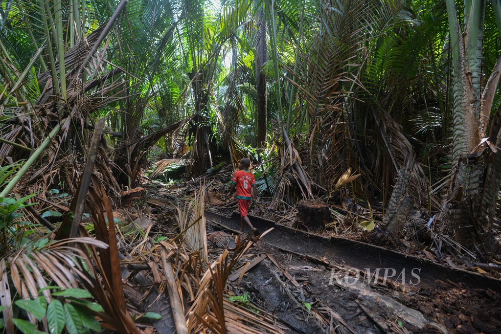 Seorang anak menyusuri kawasan pepohonan sagu di dalam hutan desa di Kampung Sira, Sorong Selatan, Papua Barat, Rabu (9/6/2021). Sagu masih menjadi makanan pokok bagi masyarakat setempat. Masyarakat desa itu dipercaya mengelola hutan desa.