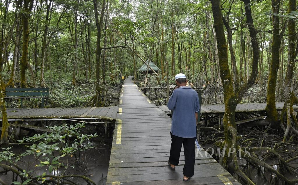 Pengunjung berada di Kawasan Konservasi Mangrove dan Bekantan Tarakan, Kalimantan Utara, Senin (18/7/2022). Kawasan dengan luas sekitar 22 hektar ini diresmikan Juni 2003 yang berfungsi sebagai paru-paru kota dan benteng hijau yang melindungi dari abrasi. Selain mangrove, kawasan ini juga dihuni bekantan (<i>Nasalis larvatus</i>). Hutan mangrove memiliki peran penting dalam mereduksi emisi karbon di atmosfer.