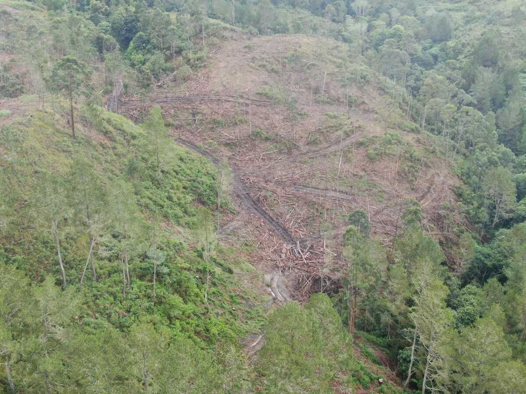 Pembabatan kawasan lindung di sekitar Danai Toba diduga memicu terjadinya banjir bandang di Humbang Hasundutan pada Jumat ((1/12/2023). 
