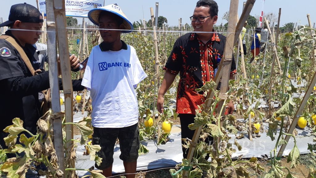 Qonaruzzaman, petani difabel di Kabupaten Lamongan, Jawa Timur, tahun 2018 menerima bantuan kredit usaha rakyat dari BRI. Selain itu, Qonaruzzaman juga menerima bantuan mesin pengolah tanah.