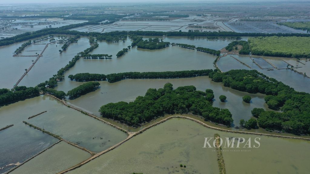 Hutan mangrove yang mengelilingi areal tambak di Desa Pantai Harapan Jaya, Kecamatan Muaragembong, Kabupaten Bekasi, Jawa Barat, Selasa (1/8/2023). Kemampuan mangrove dalam menyerap karbon merupakan jasa ekosistem yang penting pada kondisi perubahan iklim secara global. 
