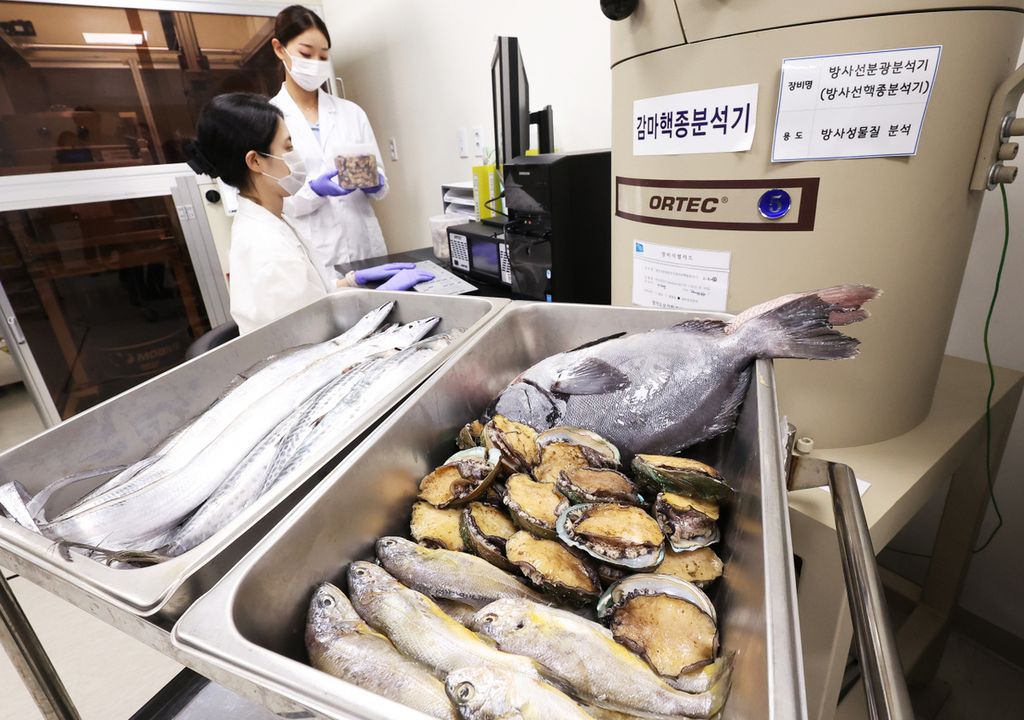 A group of technicians are testing nuclear radiation in seafood products at a laboratory in South Korea. The testing is to monitor the exposure of radioactive waste from the Fukushima Nuclear Reactor dumped into the Pacific Ocean at the end of August 2023.