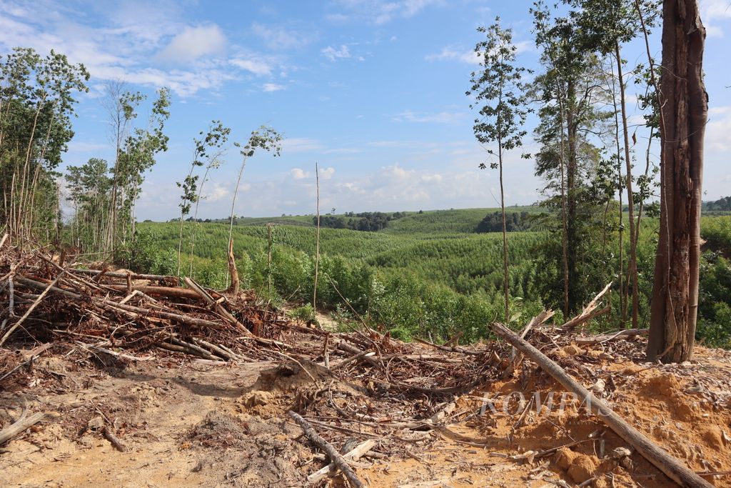 Kondisi perbatasan hutan desa Gunung Sahilan, Kecamatan Gunung Sahilan, Kabupaten Kampar, Riau, yang dirambah oleh oknum tidak bertanggung jawab, Rabu (27/7/2022).
