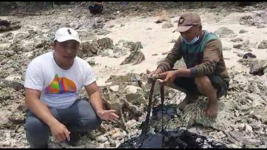 Seekor ular laut tampak mati setelah terjebak dalam paparan aspal di perairan Nias Utara, Sumatera Utara, Selasa (14/3/2023). Sudah sebulan kapal bermuatan 3.595 ton aspal kandas dan menumpahkan aspal di Nias Utara. Ekosistem laut terancam rusak permanen. 