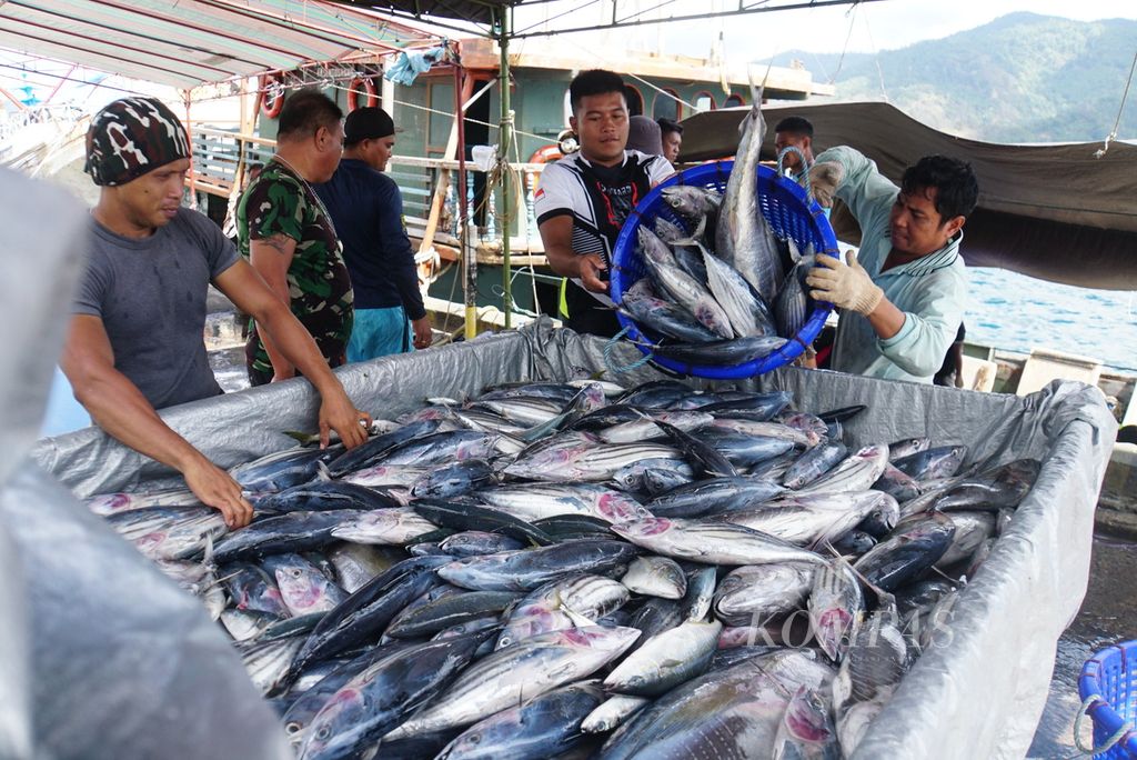 Pekerja membongkar ikan hasil tangkapan dari Kapal Motor Sentosa XVIII berbobot 131 gros ton di Pelabuhan Perikanan Samudera Bitung, Sulawesi Utara, Jumat (20/10/2023), dan memuatnya ke mobil bak untuk dibawa ke pabrik setempat. Sepanjang semester I-2023, sebanyak 21.100 ton ikan didaratkan di PPS Bitung.