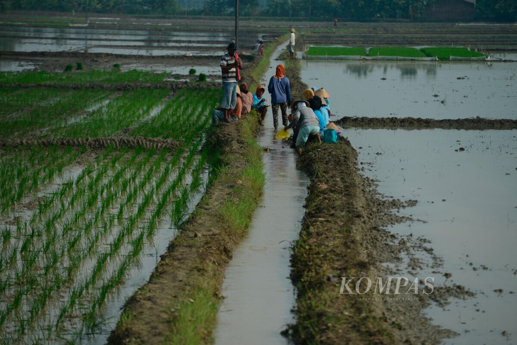 Buruh tani istirahat setelah mereka memperbaiki saluran irigasi yang rusak karena banjir di Desa Kuaron, Kecamatan Gubug, Kabupaten Grobogan, Jawa Tengah, Senin (13/1/2020).