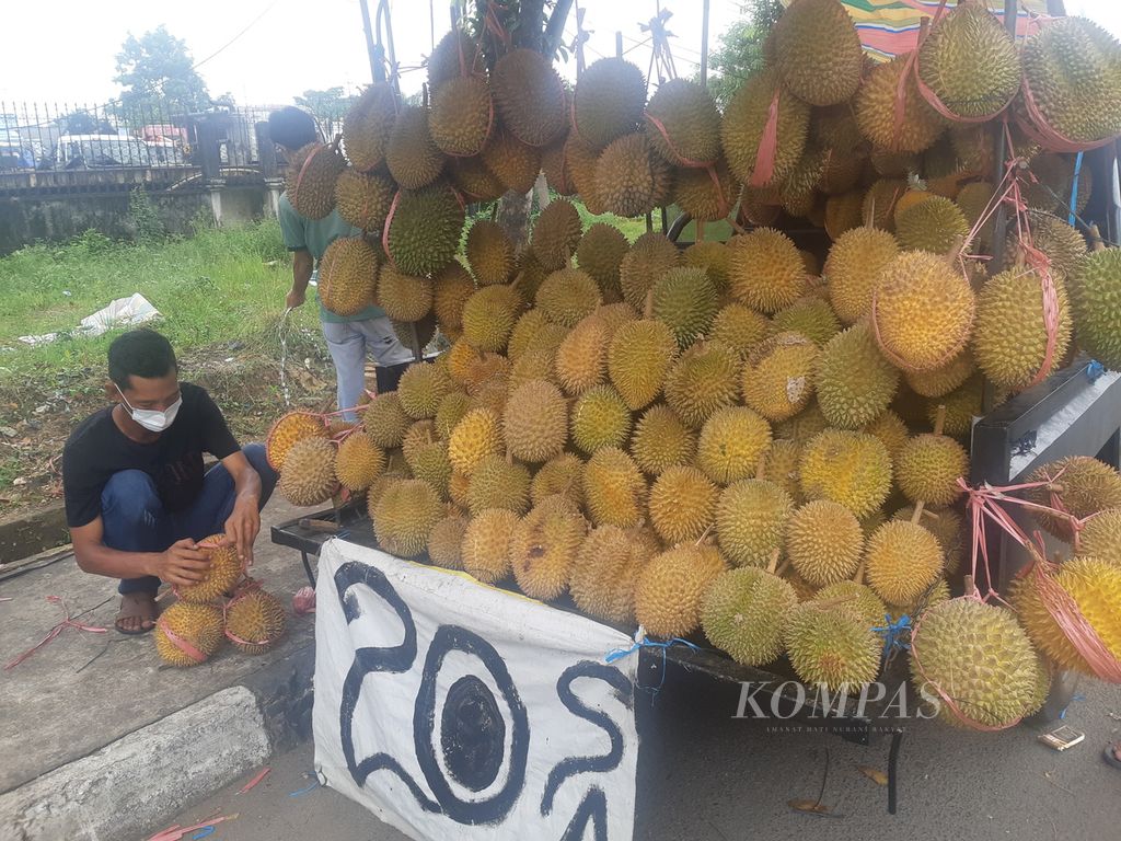Ratusan durian dijajakan di Kawasan Demang Lebar Daun Palembang, Rabu (4/5/2022). Durian menjadi salah satu buah kegemaran warga Palembang dan pendatang. Ribuah durian ludes disantap setiap hari oleh warga.