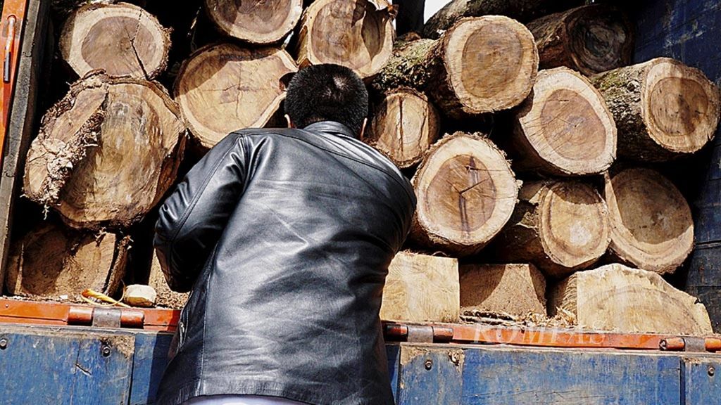Petugas memeriksa barang bukti berupa kayu jenis sonokeling yang ditebang dari dalam hutan lindung Register 22 Way Waya, Desa Sendang Mulyo, Kecamatan Sendang Agung, Lampung Tengah, Lampung, Selasa (10/4/2018), di Bandar Lampung.