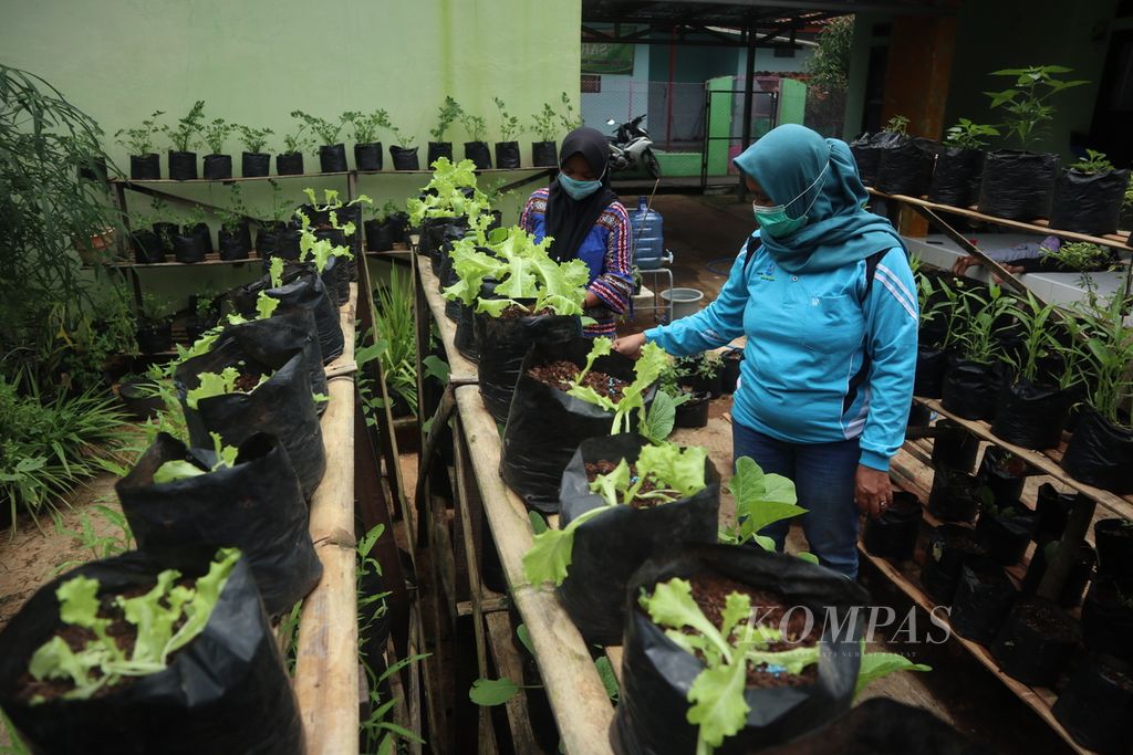 Warga mengecek sayuran yang ditanam dalam <i>polybag</i> di halaman Posyandu Desa Sukaimut, Kecamatan Garawangi, Kabupaten Kuningan, Jawa Barat, Februari 2021.