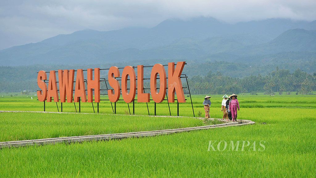 Petani menyusuri saluran irigasi di Hamparan Sawah Solok di Kota Solok, Rabu (24/1). Tempat tersebut telah dijadikan salah satu destinasi wisata di Kota Solok.