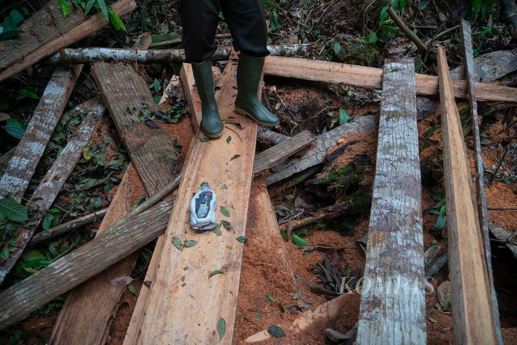 Masyarakat Mitra Polisi Hutan Yaparudin Mitro Jaya menunjukkan jejak para pembalak di dalam hutan Taman Nasional Kerinci Seblat (TNKS) dekat Nagari Gambir Sungai Sako Tapan, Kecamatan Ranah Ampek Hulu Tapan, Kabupaten Pesisir Selatan, Sumatera Barat, Minggu (8/5/2022).