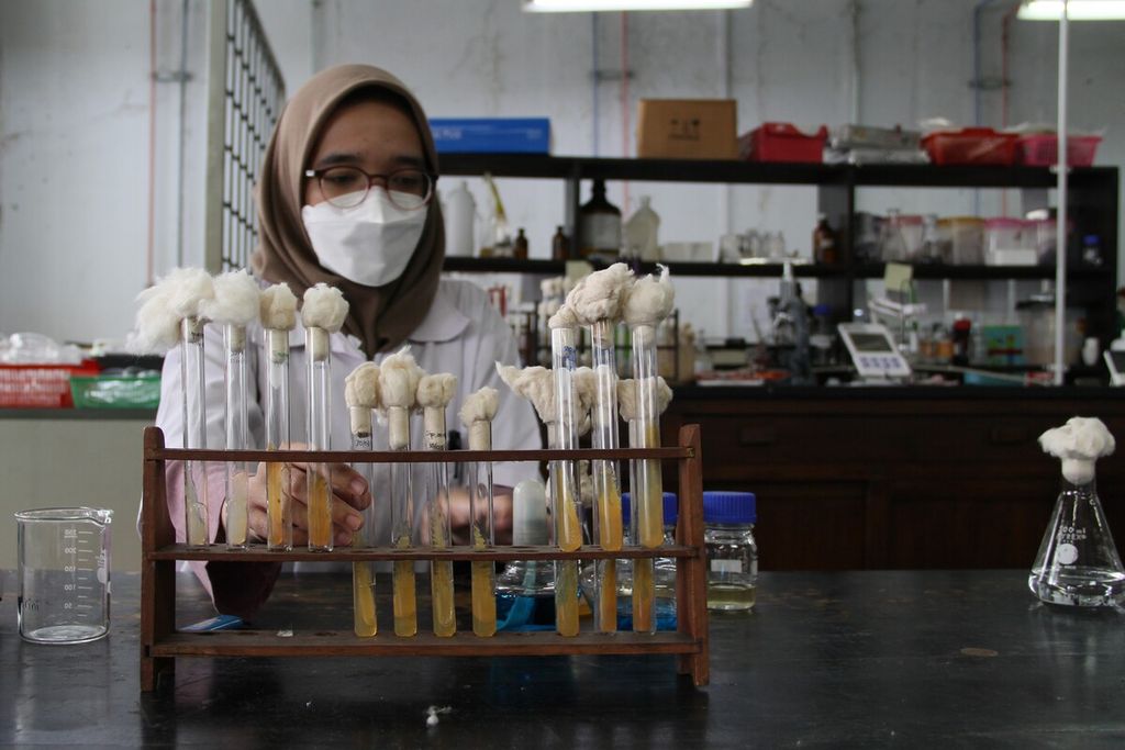 Seorang asisten peneliti tengah memeriksa tabung berisi bakteri<i> Staphyloccus aureus</i> yang dibiakkan untuk melakukan uji masker medis di Laboratorium Mikrobiologi dan Teknologi Bioproses di Program Studi Teknik Kimia Institut Teknologi Bandung, Rabu (31/3/2021). 