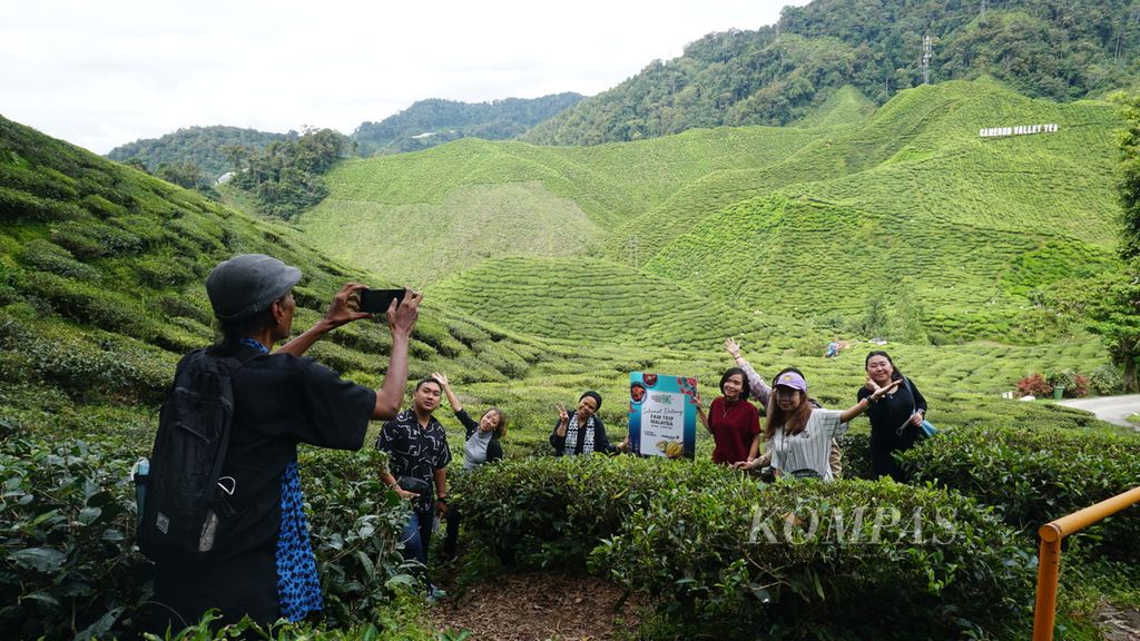 Pengunjung berfoto bersama dengan latar kebun teh di Dataran Tinggi Cameron, Pahang, Malaysia, Rabu (1/6/2022).