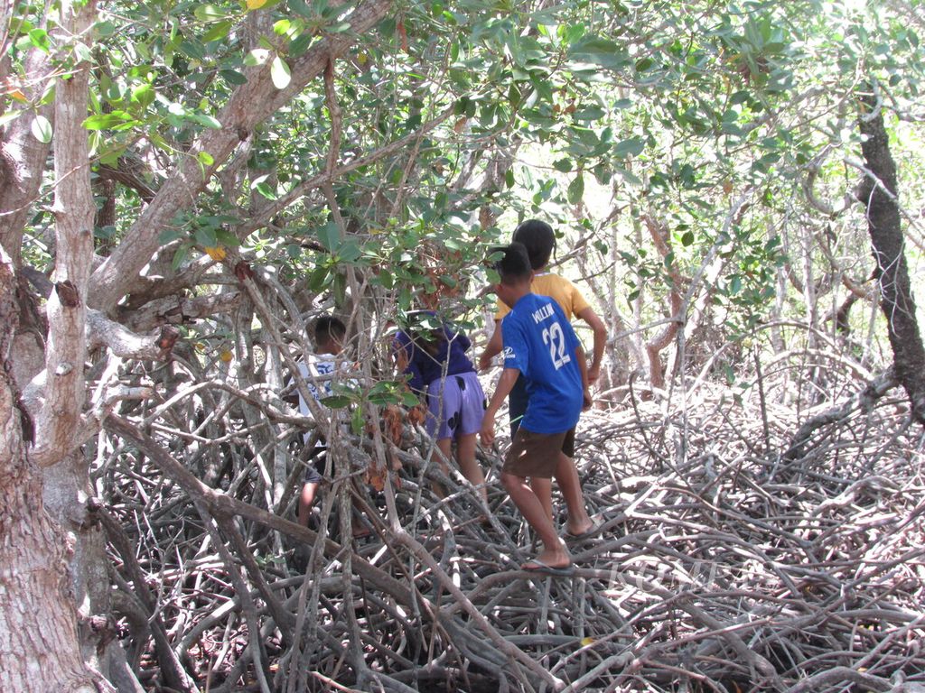 Anak-anak dari desa Tanah Merah, Kupang, Rabu (22/9/202), bermain di hutan mangrove pada Rabu (22/9/2021).