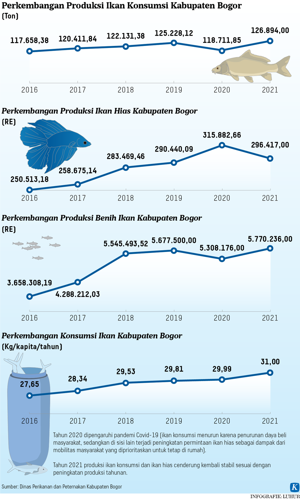 Infografik perkembangan produksi ikan Kabupaten Bogor.