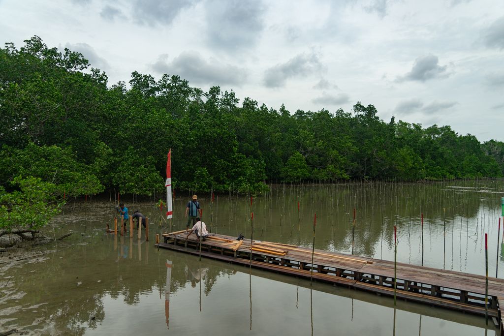 Pekerja menyelesaikan pembangunan jembatan yang akan digunakan dalam penanaman mangrove di Teluk Kendari, Sulawesi Tenggara, Selasa (8/2/2022) siang.