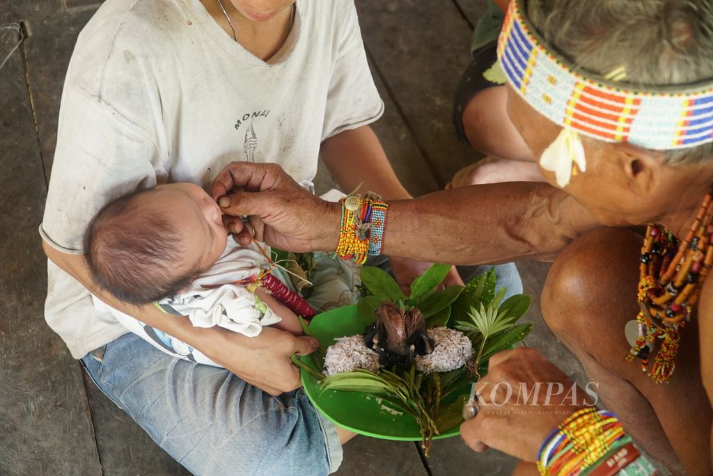Sikerei, ahli pengobatan dan pemimpin ritual suku Mentawai, menyuapi daging kelelawar yang disup didampingi "subbet", makanan karbohidrat dari umbi keladi rebus tumbuk, yang telah ditambahkan berbagai jenis daun dalam ritual pemberkatan bayi di pedalaman Pulau Siberut di Dusun Salappa, Desa Muntei, Kecamatan Siberut Selatan, Kepulauan Mentawai, Sumatera Barat, Selasa (26/9/2023). Ritual diakhiri dengan memakan hidangan pangan lokal Mentawai. Pangan lokal menjadi salah satu elemen kunci dalam berbagai ritual adat masyarakat suku Mentawai.