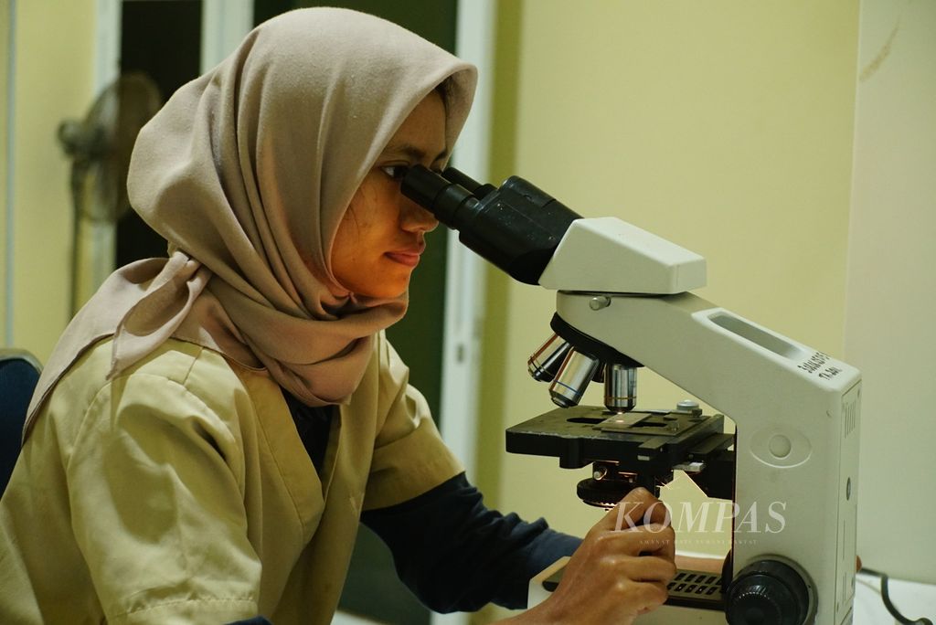 Drh Afifah Hasna, dokter hewan di Anoa Breeding Center (ABC) Manado, pusat pengembangbiakan anoa di Sulawesi Utara, mengamati sampel sekresi vaginal anoa, Rabu (5/7/2023), di klinik ABC. Afifah adalah dokter hewan pertama yang berhasil membantu kelahiran anoa dataran rendah (<i>Bubalus depressicornis</i>) dengan operasi caesar.