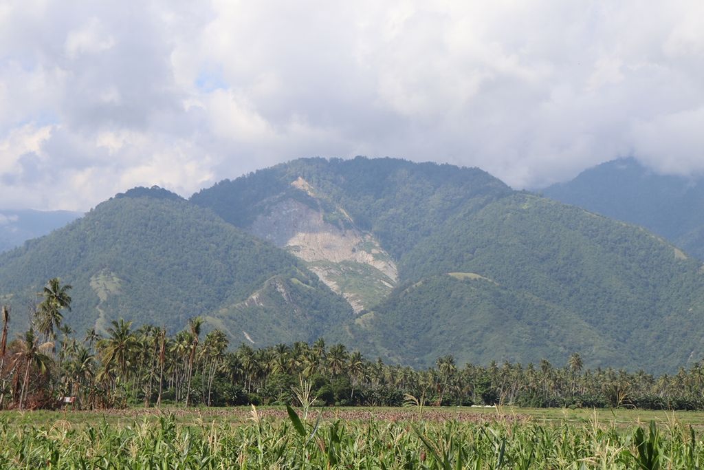 https://cdn-assetd.kompas.id/gb5AHTYFu3rgWa7vIfaXnhWFcFU=/1024x683/https%3A%2F%2Fkompas.id%2Fwp-content%2Fuploads%2F2019%2F12%2Fc7708e3e-2451-4a2c-8193-f425b2fc7734_jpg.jpg