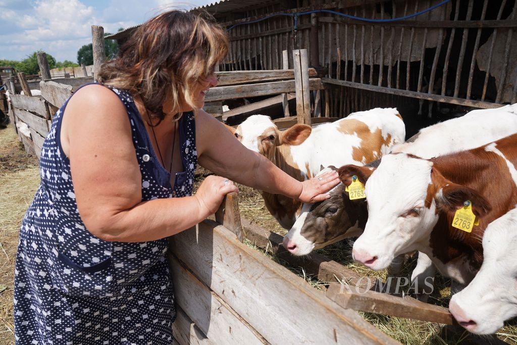 Lubov Ivanivna (62) holds the head of her pet cow in the village of Mala Rohan, Kharkiv Province, Ukraine, Tuesday (5/7/2022). Russian artillery attacks on the village in February-March 2022, killed 143 of its livestock and damaged its grain barn.