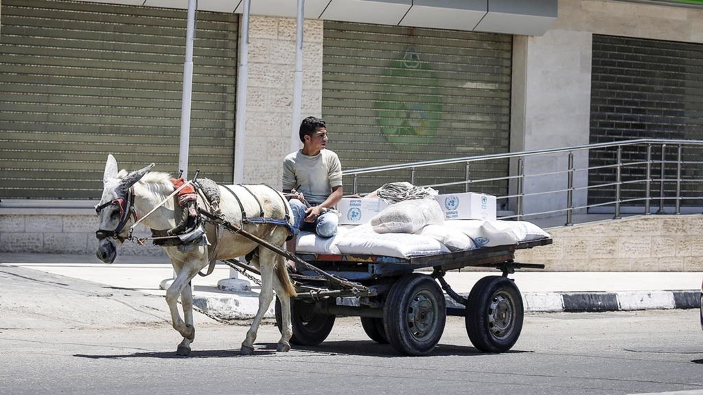 Warga Palestina mengendarai gerobak untuk mengangkut karung-karung berisi bantuan makanan yang dipasok oleh Badan Bantuan Sosial dan Pekerja PBB (UNRWA) di kota Rafah, Jalur Gaza selatan, Selasa (25/6/2019).