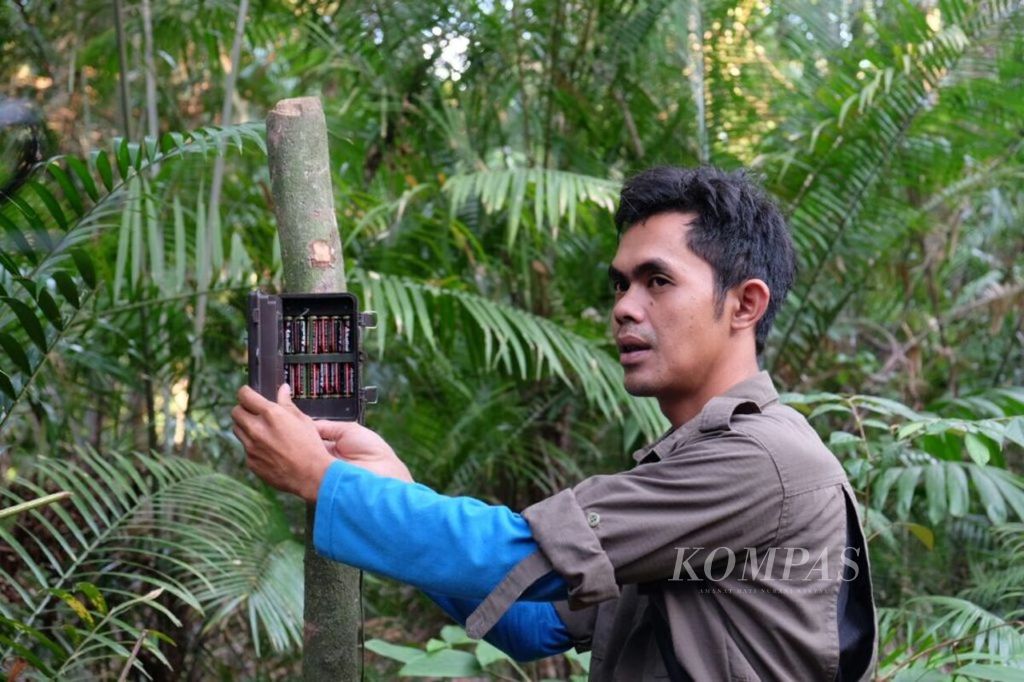 Petugas Taman Nasional Ujung Kulon, Banten, memperlihatkan alat <i>video trap</i> yang dipasang di sekitar kawasan konservasi taman nasional itu. Rekaman video pemantau menunjukkan aktivitas binatang yang ada di sekitar taman nasional, terutama badak jawa yang langka.