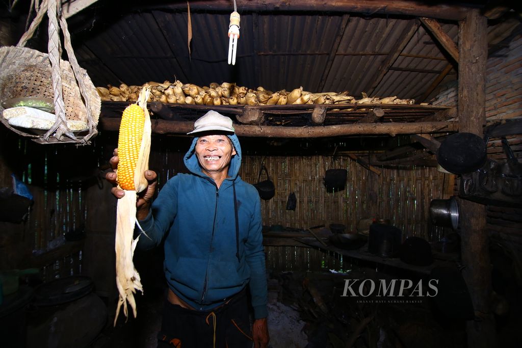 Asnawi (74) salah satu petani menunjukkan jagung yang disimpan di lumbung yang ada di dapur rumahnya di Lingkungan Papring, Kecamatan Kalipuro, Banyuwangi, Kamis (7/5/2020). Jagung yang masih menjadi makanan pokok masyarakat setempat sebagai pangan alternatif selain nasi.