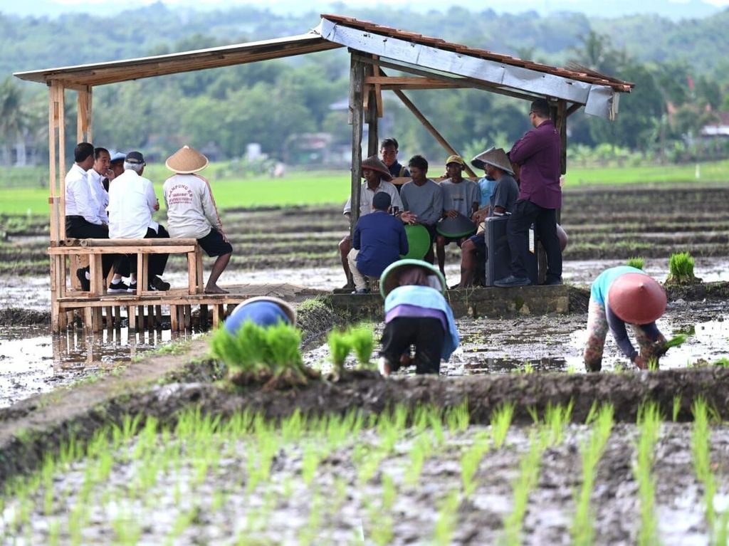 Presiden Joko Widodo saat berdialog dengan sejumlah petani di sela-sela peninjauan kegiatan tanam padi di Kecamatan Kalibagor, Kabupaten Banyumas, Provinsi Jawa Tengah, Rabu (3/1/2024).
